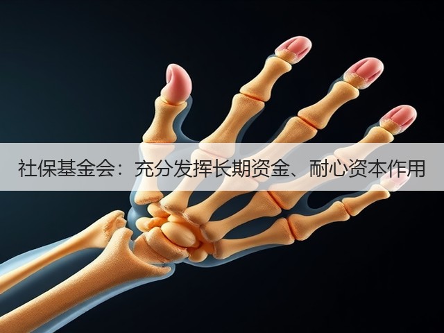 社保基金会:充分发挥长期资金、耐心资本作用(图2) 社保基金会:充分发挥长期资金、耐心资本作用(图2)