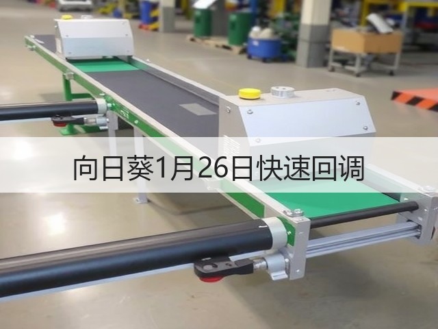 向日葵1月26日快速回调(图2) 向日葵1月26日快速回调(图2)