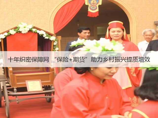十年织密保障网 “保险+期货”助力乡村振兴提质增效(图2)