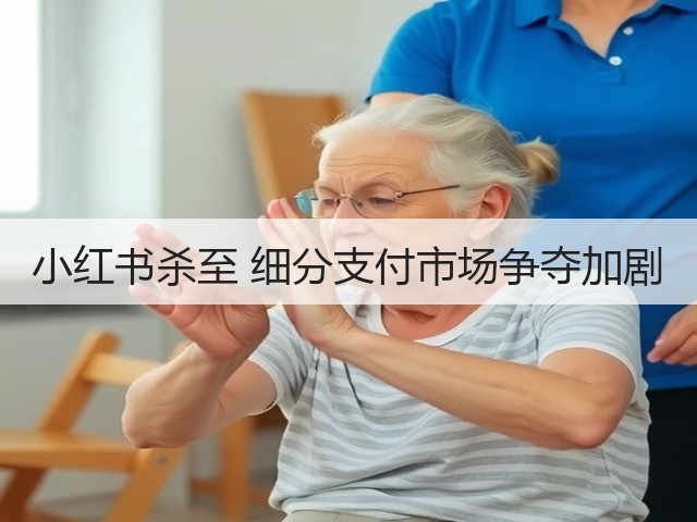 小红书杀至 细分支付市场争夺加剧(图3) 小红书杀至 细分支付市场争夺加剧(图3)