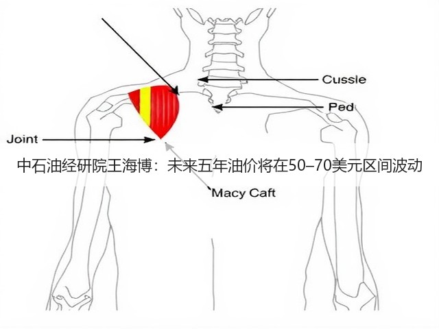 中石油经研院王海博:未来五年油价将在50–70美元区间波动(图2) 中石油经研院王海博:未来五年油价将在50–70美元区间波动(图2)