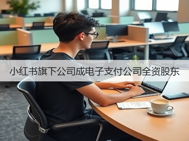 小红书旗下公司成电子支付公司全资股东(图3) 小红书旗下公司成电子支付公司全资股东(图3)