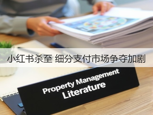 小红书杀至 细分支付市场争夺加剧(图3) 小红书杀至 细分支付市场争夺加剧(图3)