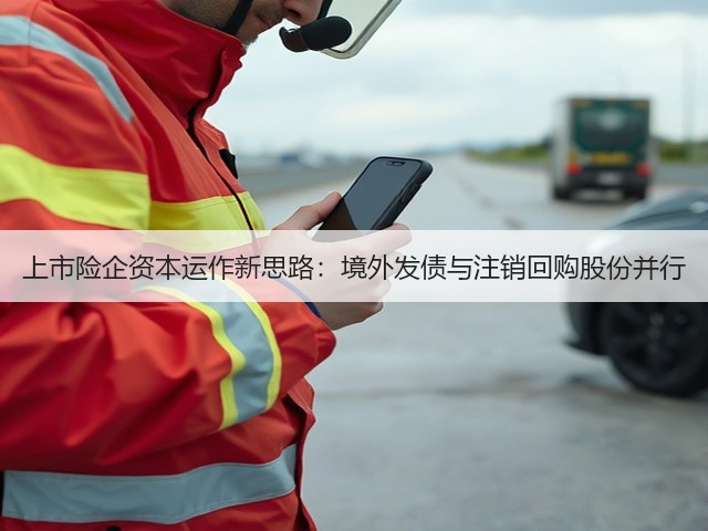 上市险企资本运作新思路:境外发债与注销回购股份并行(图3) 上市险企资本运作新思路:境外发债与注销回购股份并行(图3)