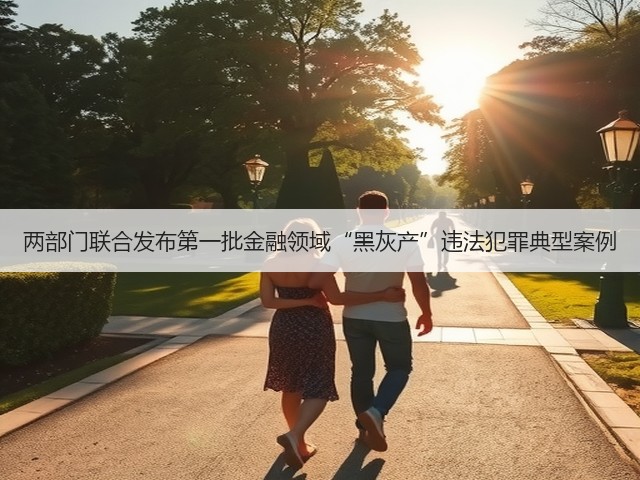 两部门联合发布第一批金融领域“黑灰产”违法犯罪典型案例(图1) 两部门联合发布第一批金融领域“黑灰产”违法犯罪典型案例(图1)