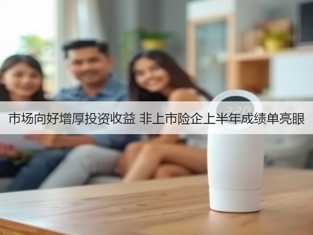 市场向好增厚投资收益 非上市险企上半年成绩单亮眼(图2) 市场向好增厚投资收益 非上市险企上半年成绩单亮眼(图2)