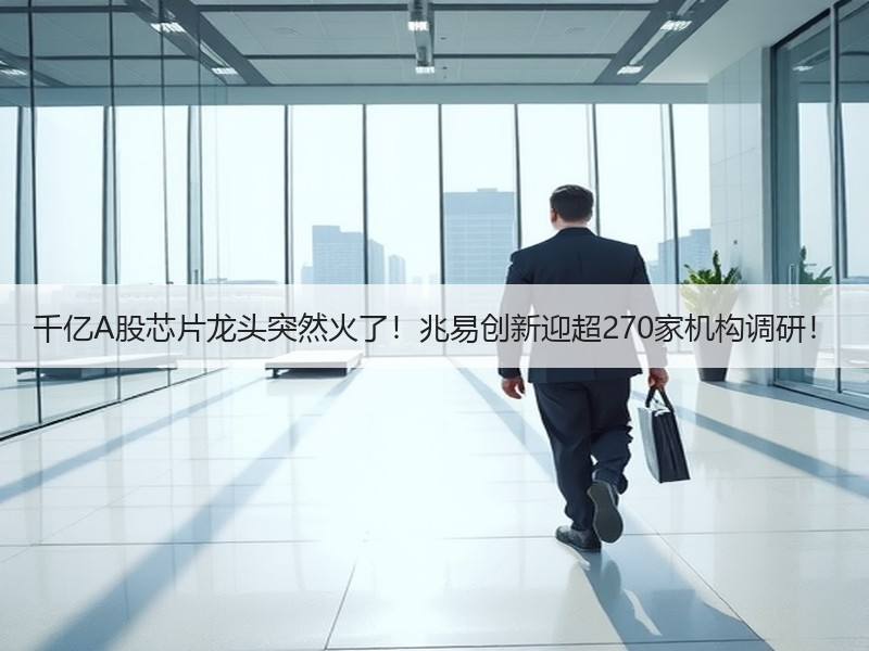 千亿A股芯片龙头突然火了！兆易创新迎超270家机构调研！