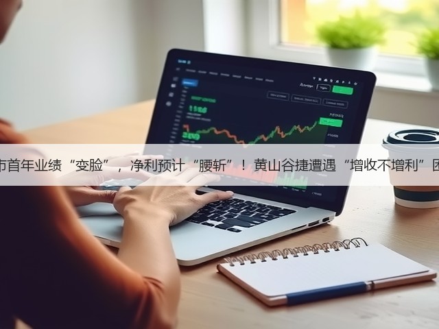 上市首年业绩“变脸”,净利预计“腰斩”!黄山谷捷遭遇“增收不增利”困境(图2) 上市首年业绩“变脸”,净利预计“腰斩”!黄山谷捷遭遇“增收不增利”困境(图2)