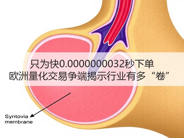 只为快0.0000000032秒下单 欧洲量化交易争端揭示行业有多“卷”(图2) 只为快0.0000000032秒下单 欧洲量化交易争端揭示行业有多“卷”(图2)