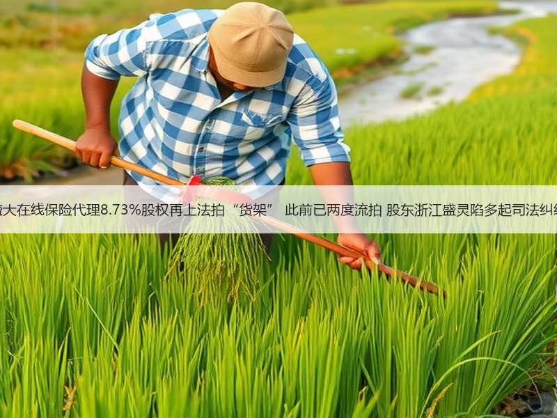 盛大在线保险代理8.73%股权再上法拍“货架” 此前已两度流拍 股东浙江盛灵陷多起司法纠纷