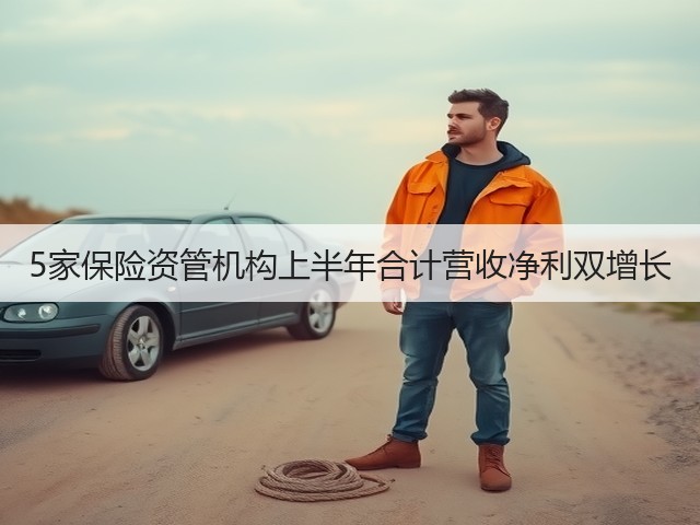 5家保险资管机构上半年合计营收净利双增长(图2) 5家保险资管机构上半年合计营收净利双增长(图2)