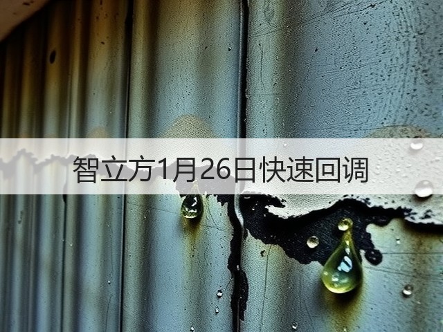 智立方1月26日快速回调(图2) 智立方1月26日快速回调(图2)