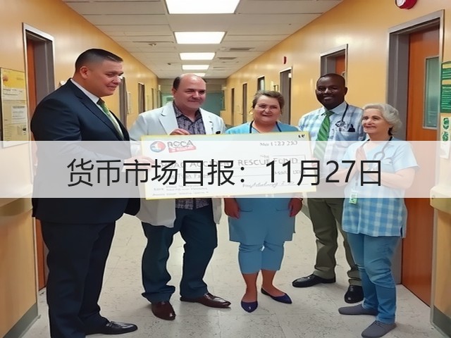 货币市场日报：11月27日(图1)