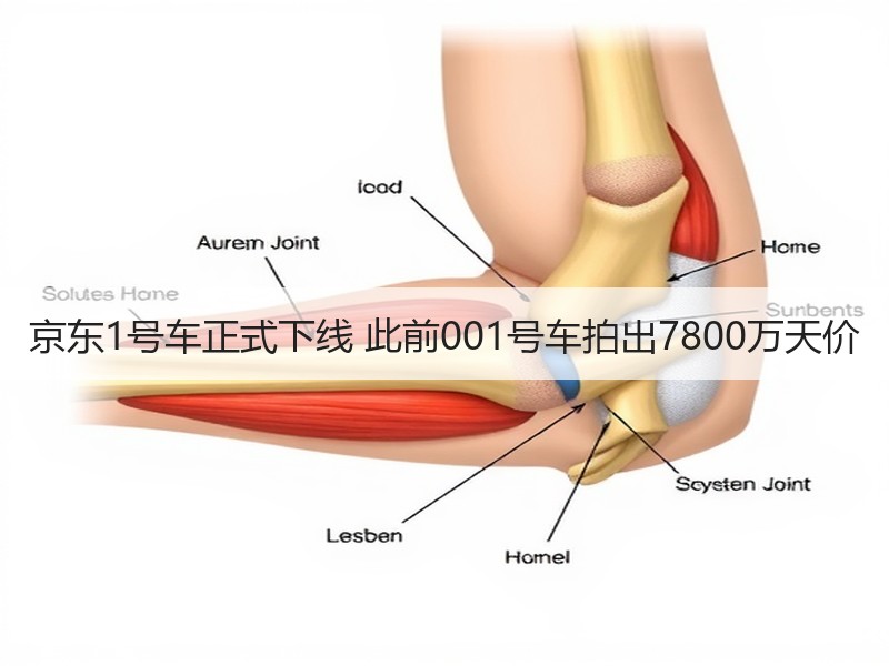 京东1号车正式下线 此前001号车拍出7800万天价