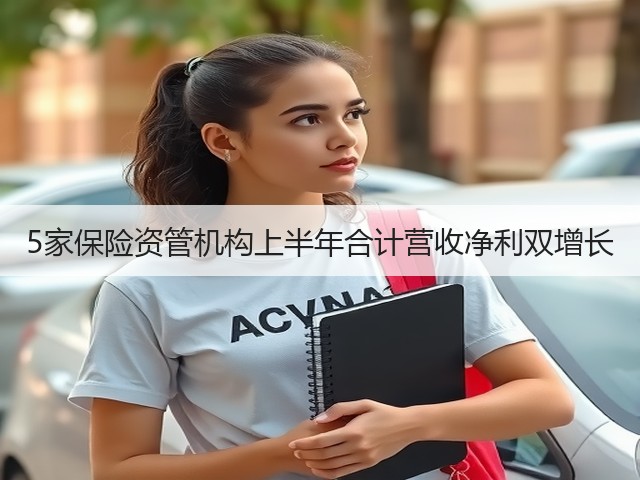 5家保险资管机构上半年合计营收净利双增长(图1) 5家保险资管机构上半年合计营收净利双增长(图1)