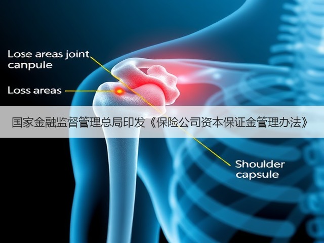 国家金融监督管理总局印发《保险公司资本保证金管理办法》(图3) 国家金融监督管理总局印发《保险公司资本保证金管理办法》(图3)
