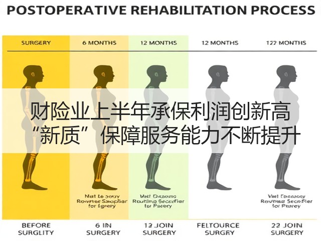 财险业上半年承保利润创新高 “新质”保障服务能力不断提升(图2)