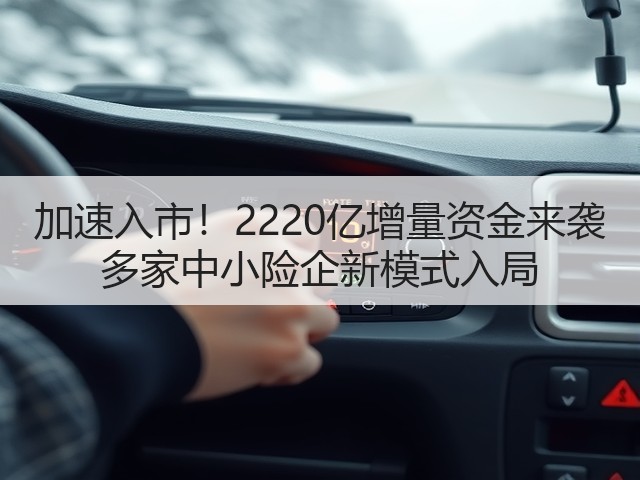 加速入市!2220亿增量资金来袭 多家中小险企新模式入局(图3) 加速入市!2220亿增量资金来袭 多家中小险企新模式入局(图3)