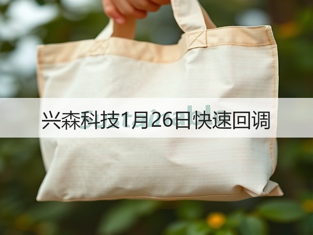 兴森科技1月26日快速回调(图1)