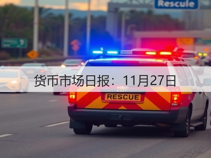 货币市场日报：11月27日