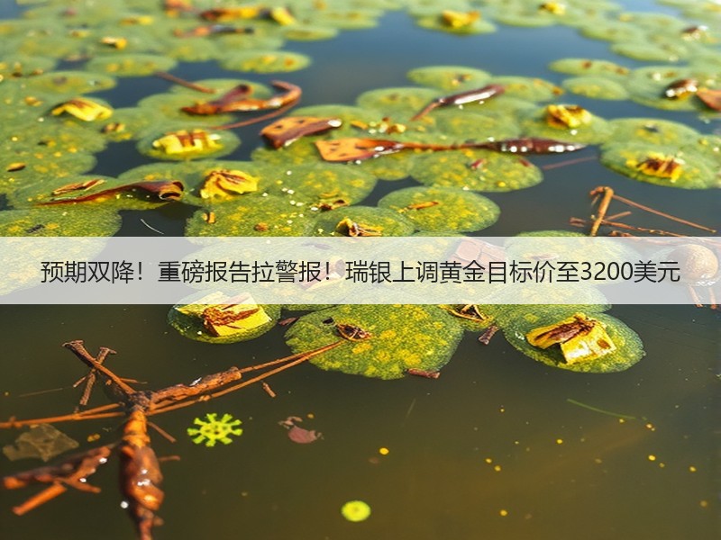 预期双降！重磅报告拉警报！瑞银上调黄金目标价至3200美元