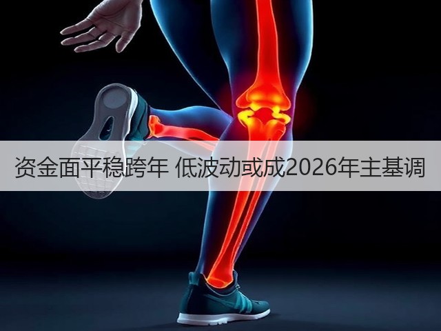 资金面平稳跨年 低波动或成2026年主基调(图2) 资金面平稳跨年 低波动或成2026年主基调(图2)