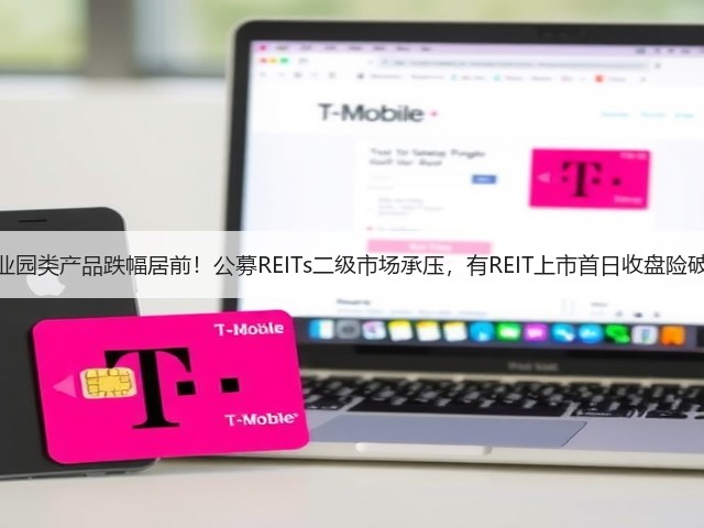 产业园类产品跌幅居前！公募REITs二级市场承压，有REIT上市首日收盘险破发(图1)