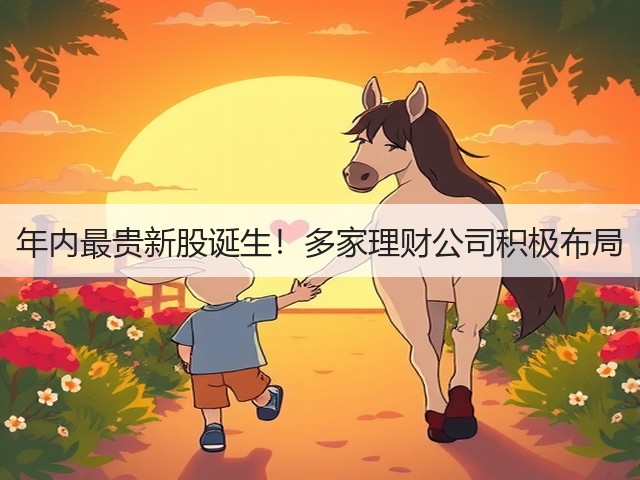年内最贵新股诞生！多家理财公司积极布局(图1)