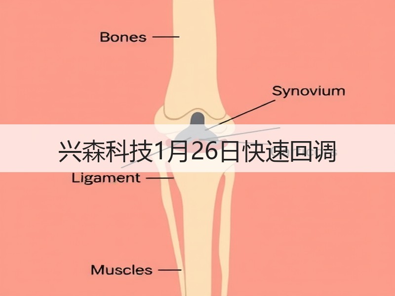 兴森科技1月26日快速回调