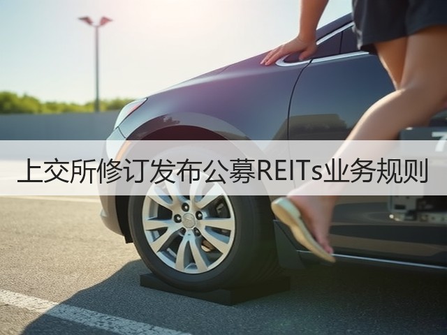 上交所修订发布公募REITs业务规则(图1) 上交所修订发布公募REITs业务规则(图1)