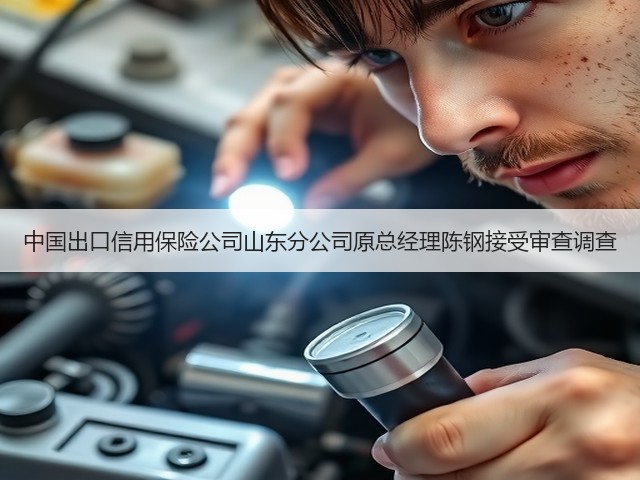 中国出口信用保险公司山东分公司原总经理陈钢接受审查调查(图1) 中国出口信用保险公司山东分公司原总经理陈钢接受审查调查(图1)