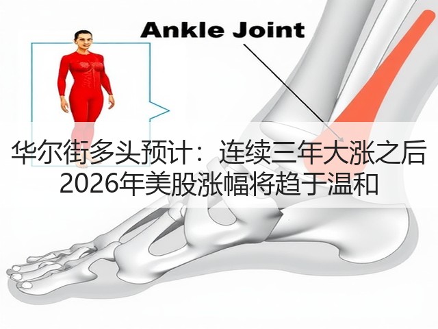 华尔街多头预计:连续三年大涨之后 2026年美股涨幅将趋于温和(图1) 华尔街多头预计:连续三年大涨之后 2026年美股涨幅将趋于温和(图1)