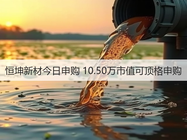 恒坤新材今日申购 10.50万市值可顶格申购(图1) 恒坤新材今日申购 10.50万市值可顶格申购(图1)