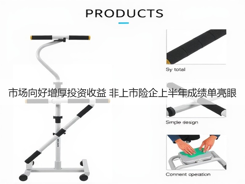 市场向好增厚投资收益 非上市险企上半年成绩单亮眼