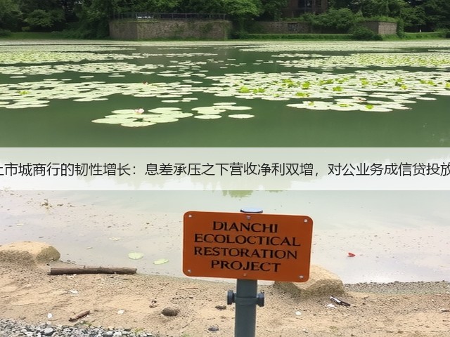长三角6家上市城商行的韧性增长:息差承压之下营收净利双增,对公业务成信贷投放“主引擎”(图2) 长三角6家上市城商行的韧性增长:息差承压之下营收净利双增,对公业务成信贷投放“主引擎”(图2)