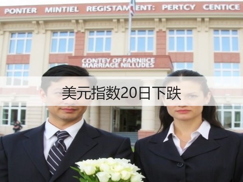 美元指数20日下跌