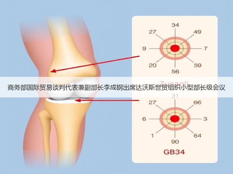 商务部国际贸易谈判代表兼副部长李成钢出席达沃斯世贸组织小型部长级会议