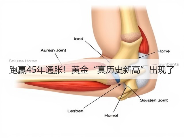 跑赢45年通胀!黄金“真历史新高”出现了(图2) 跑赢45年通胀!黄金“真历史新高”出现了(图2)