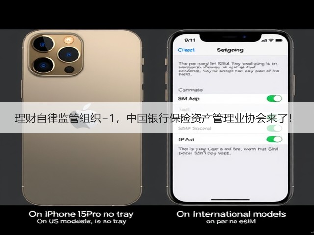 理财自律监管组织+1,中国银行保险资产管理业协会来了!(图2) 理财自律监管组织+1,中国银行保险资产管理业协会来了!(图2)