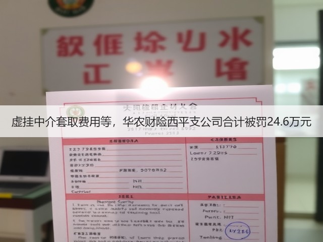 虚挂中介套取费用等,华农财险西平支公司合计被罚24.6万元(图1) 虚挂中介套取费用等,华农财险西平支公司合计被罚24.6万元(图1)