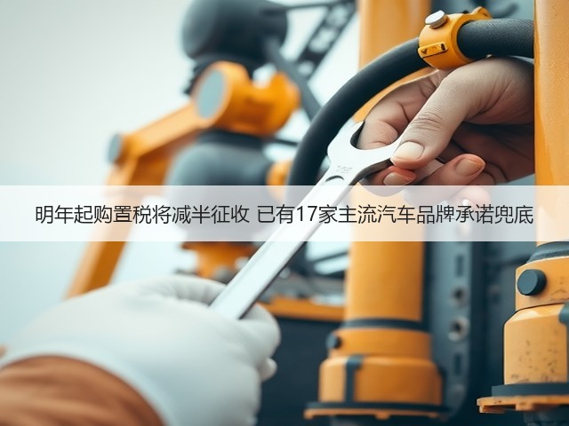 明年起购置税将减半征收 已有17家主流汽车品牌承诺兜底(图3) 明年起购置税将减半征收 已有17家主流汽车品牌承诺兜底(图3)