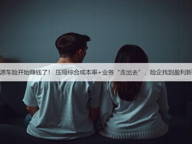 新能源车险开始赚钱了! 压缩综合成本率+业务“走出去”,险企找到盈利新途径(图1) 新能源车险开始赚钱了! 压缩综合成本率+业务“走出去”,险企找到盈利新途径(图1)