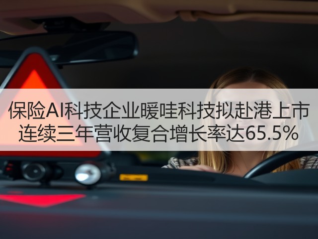 保险AI科技企业暖哇科技拟赴港上市 连续三年营收复合增长率达65.5%(图2) 保险AI科技企业暖哇科技拟赴港上市 连续三年营收复合增长率达65.5%(图2)