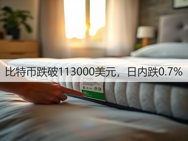 比特币跌破113000美元，日内跌0.7%(图1)