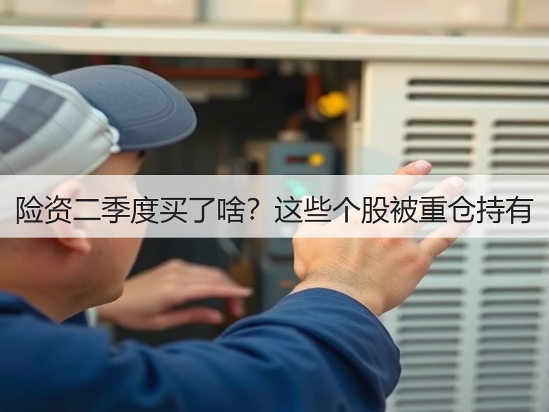 险资二季度买了啥？这些个股被重仓持有