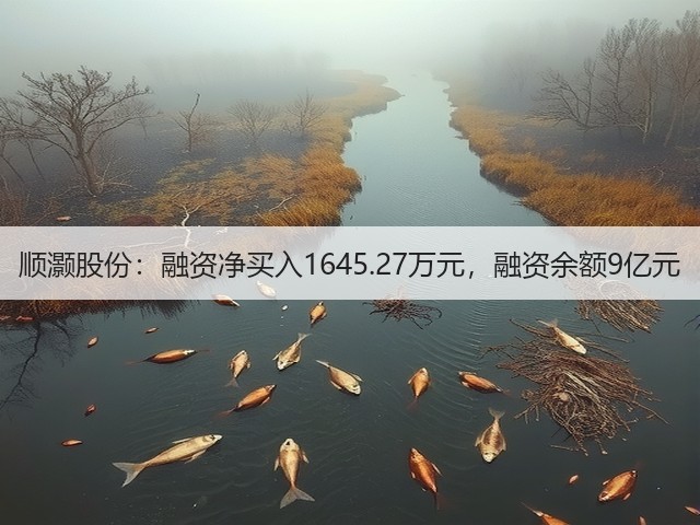 顺灏股份：融资净买入1645.27万元，融资余额9亿元(图3)