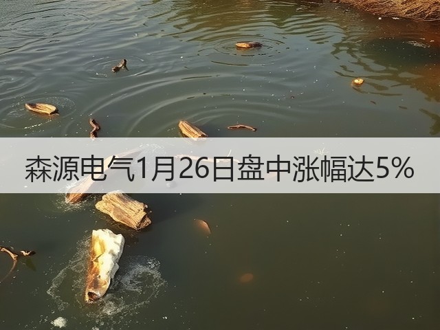 森源电气1月26日盘中涨幅达5%(图3) 森源电气1月26日盘中涨幅达5%(图3)