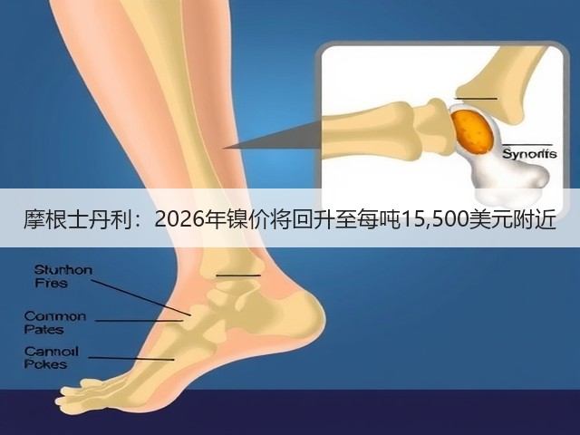 摩根士丹利：2026年镍价将回升至每吨15,500美元附近(图3)