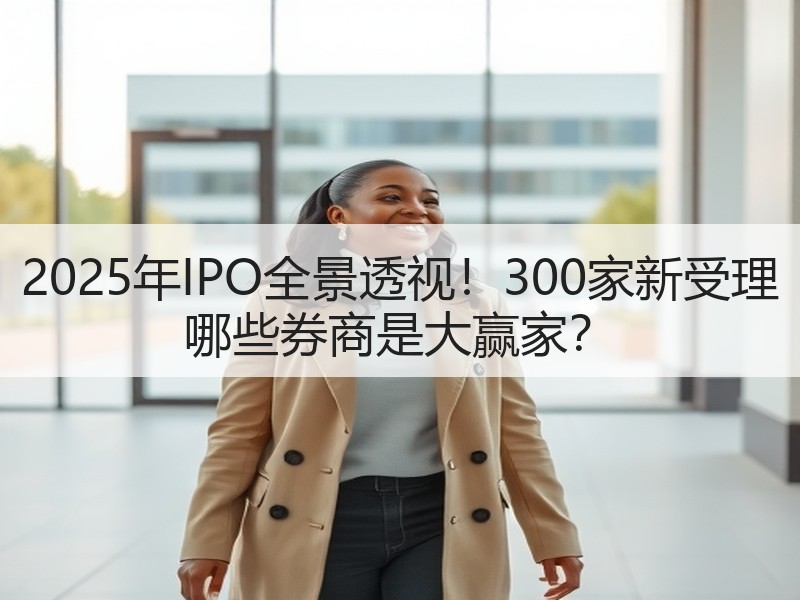 2025年IPO全景透视！300家新受理 哪些券商是大赢家？