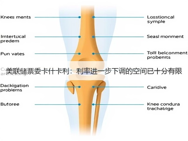 美联储票委卡什卡利：利率进一步下调的空间已十分有限(图2)